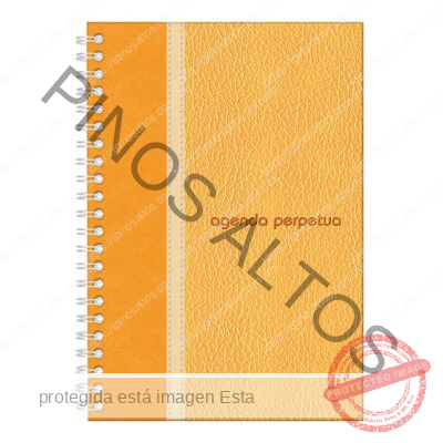 AGENDA PERPETUA MOSTAZA 70GRS