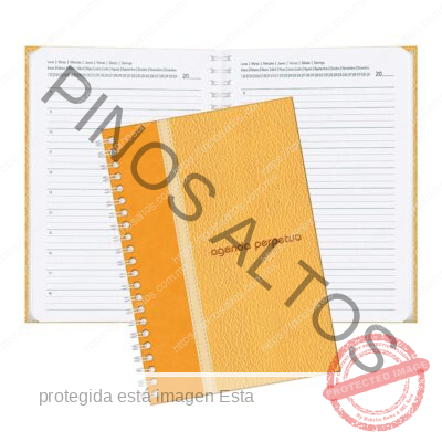 AGENDA PERPETUA MOSTAZA 70GRS - Imagen 4