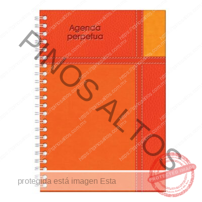 AGENDA PERPETUA NARANJA 70GRS