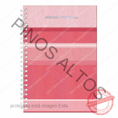 AGENDA PERPETUA ROSA 70GRS