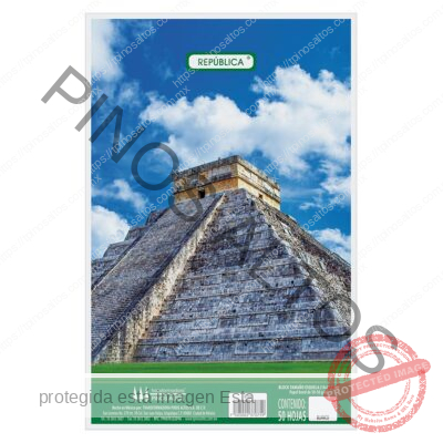BLOCK C-5 T/ESQUELA - Imagen 9