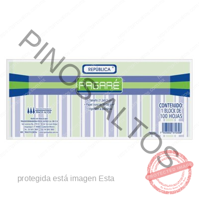 BLOCK PAGARÉ 100 HJS.