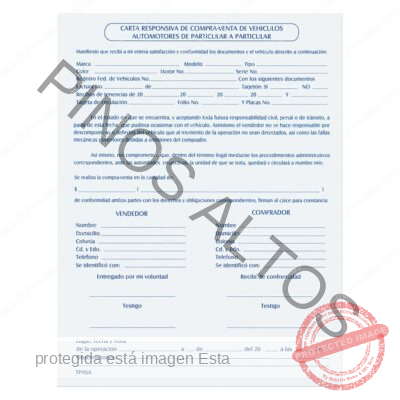CARTA RESPONSIVA