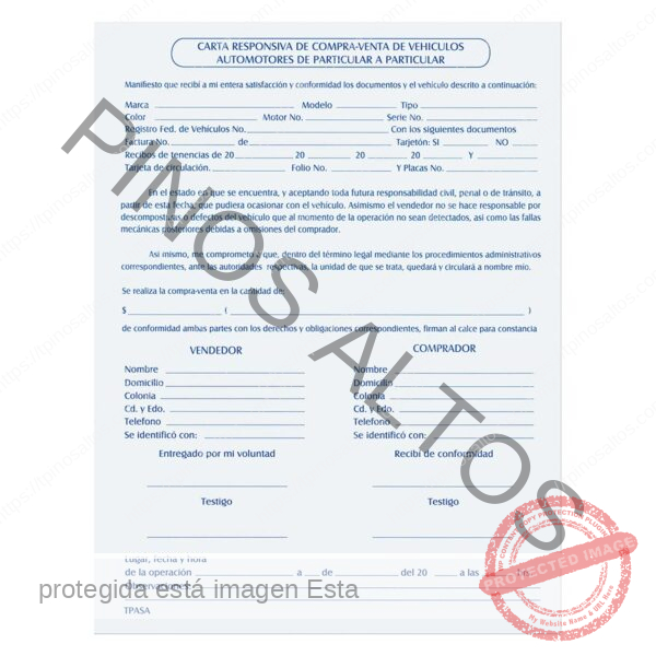 CARTA RESPONSIVA