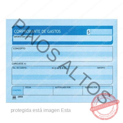 COMPROBANTE DE GASTOS