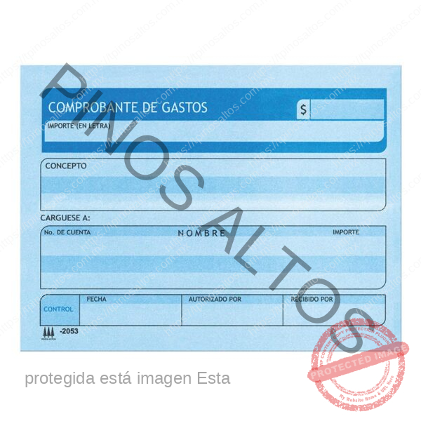 COMPROBANTE DE GASTOS