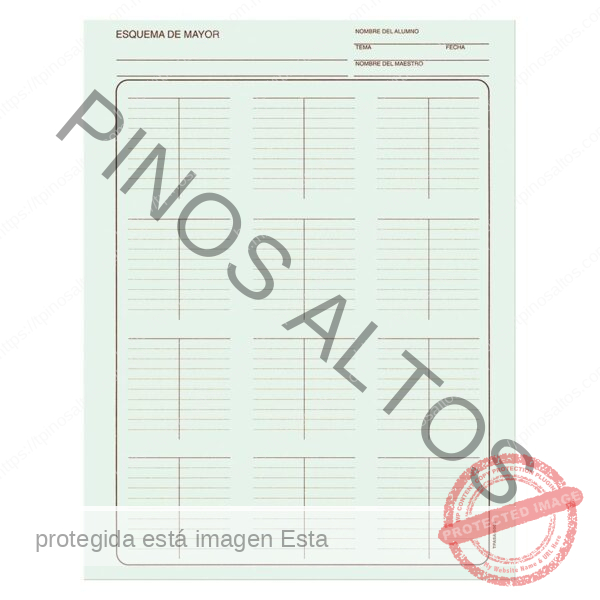 ESQUEMA DE MAYOR