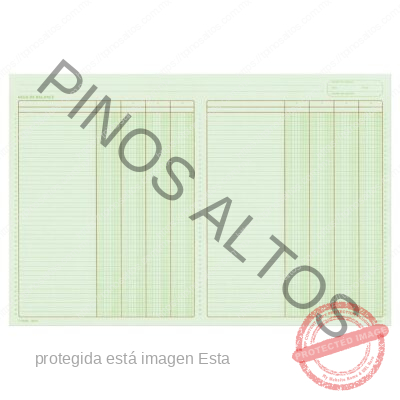 HOJA DE BALANCE
