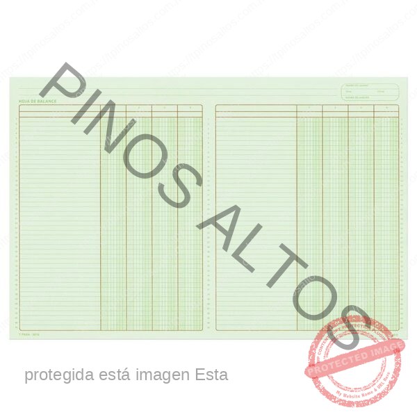 HOJA DE BALANCE