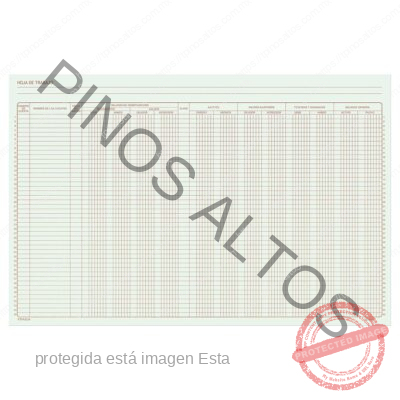 HOJA DE TRABAJO