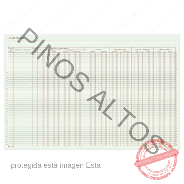 HOJA DE TRABAJO