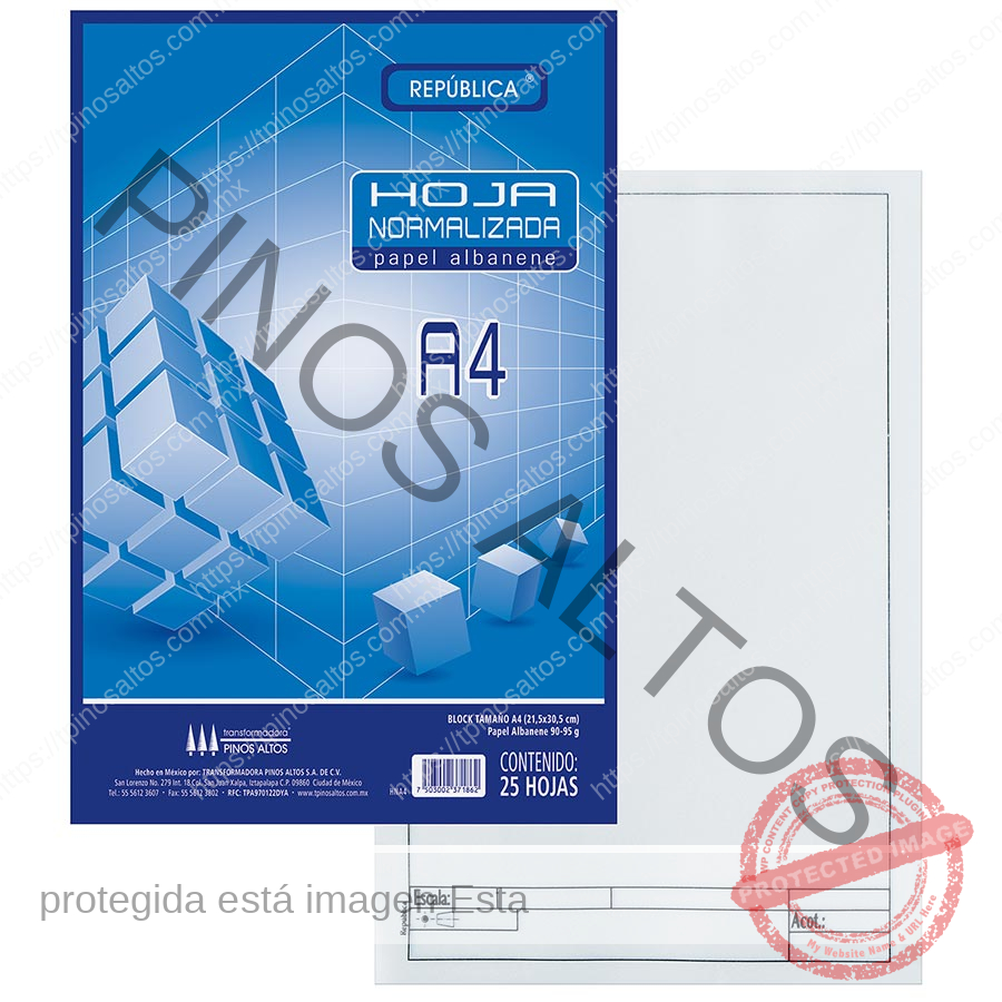 HOJA NORMALIZADA A4 ALBANENE - Imagen 3