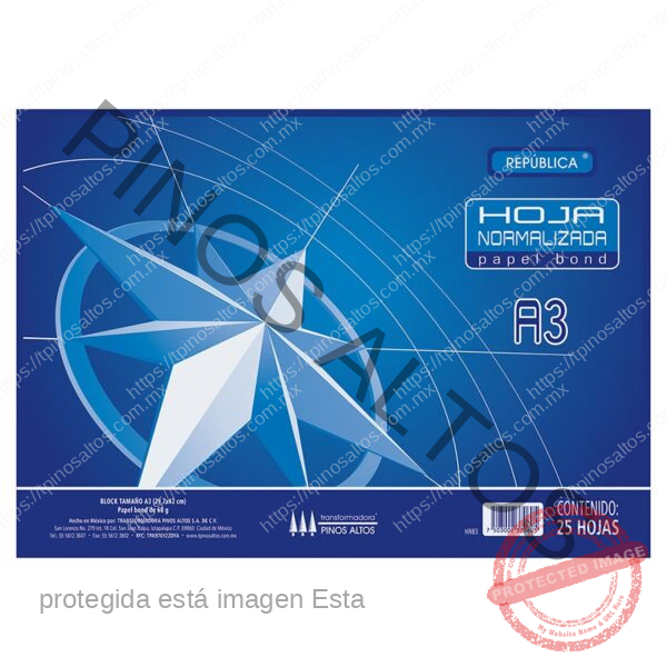 HOJA NORMALIZADA BOND A3