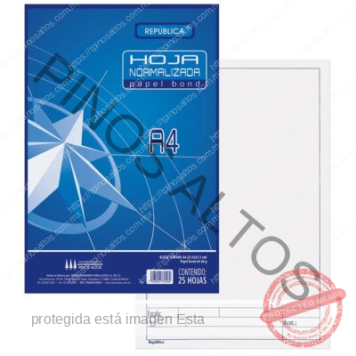 HOJA NORMALIZADA BOND A4 - Imagen 3
