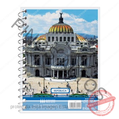 LIBRETA DE APUNTES FRANCESITA - Imagen 4