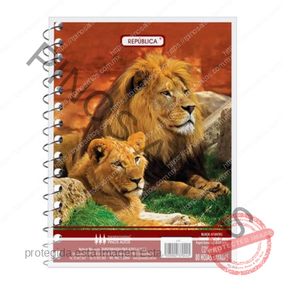 LIBRETA DE APUNTES FRANCESITA - Imagen 9