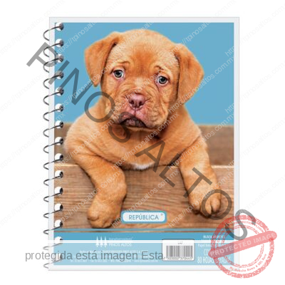 LIBRETA DE APUNTES FRANCESITA - Imagen 11