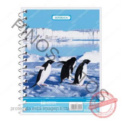 LIBRETA DE APUNTES FRANCESITA - Imagen 12