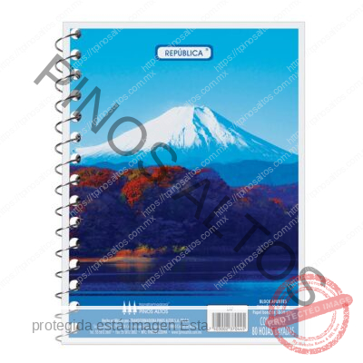 LIBRETA DE APUNTES FRANCESITA - Imagen 17