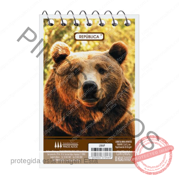 LIBRETA MINIAPUNTES 32 HJS