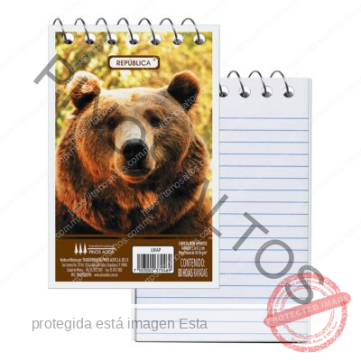 LIBRETA MINIAPUNTES 32 HJS - Imagen 2