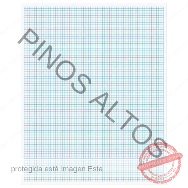 PAPEL BOND ROTAFOLIO C5