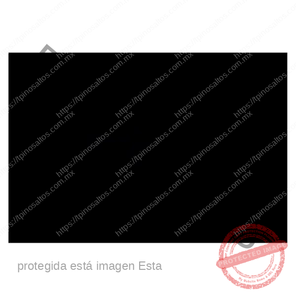 PAPEL LUSTRE NEGRO