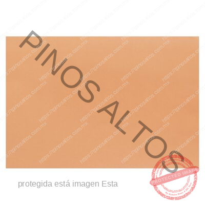 PAPEL LUSTRE SALMÓN