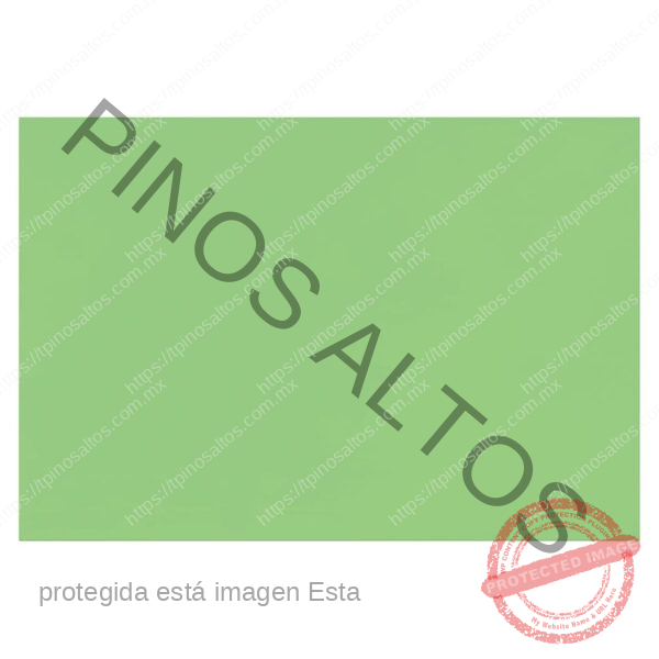 PAPEL LUSTRE VERDE PISTACHE