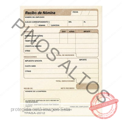 RECIBO DE NÓMINA - Imagen 2