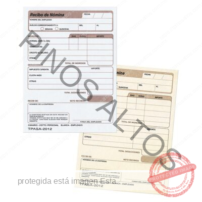 RECIBO DE NÓMINA - Imagen 3