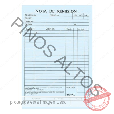 REMISIÓN REPÚBLICA ESQUELA TRIPLICADO - Imagen 3