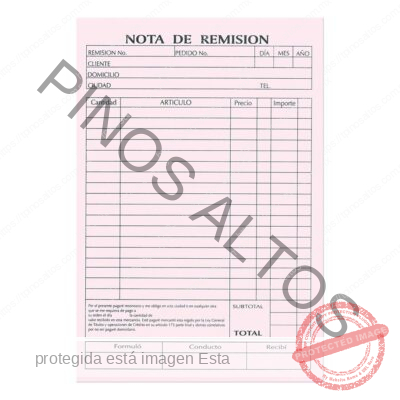 REMISIÓN REPÚBLICA ESQUELA TRIPLICADO - Imagen 4
