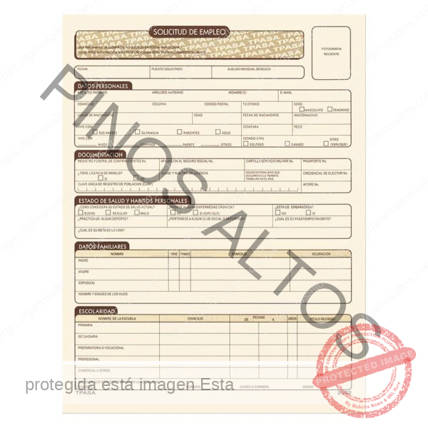 SOLICITUD DE EMPLEO
