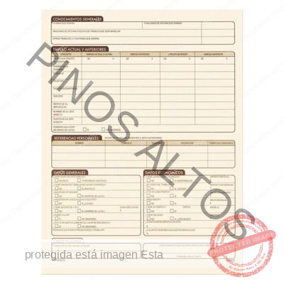 SOLICITUD DE EMPLEO - Imagen 2