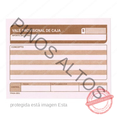 VALE PROVISIONAL DE CAJA