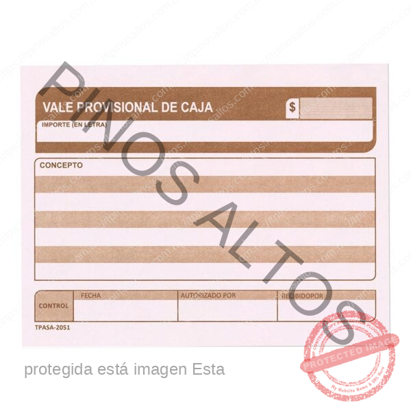 VALE PROVISIONAL DE CAJA