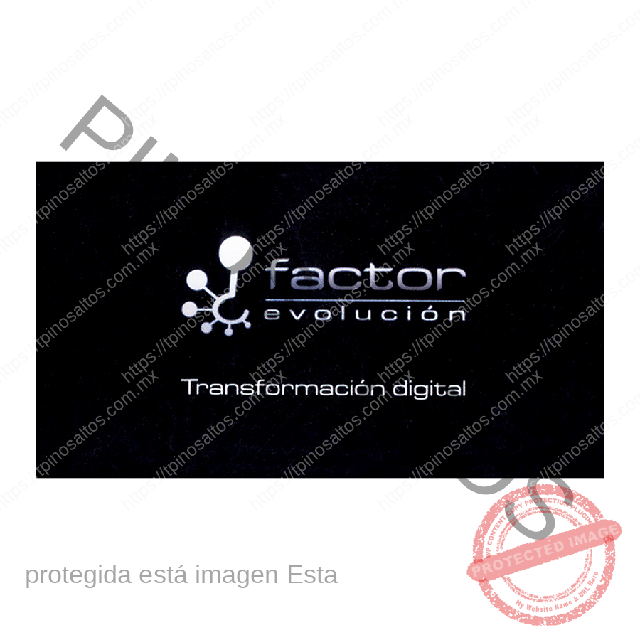 impresion-offset-tarjetas-de-presentacion-pinos-altos