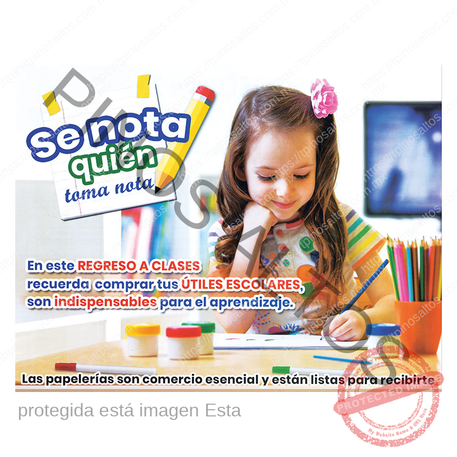 impresion-offset-volantes-flyers-pinos-altos-2