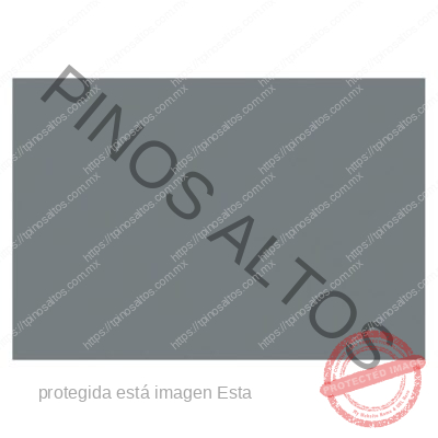 Papel Lustre Gris