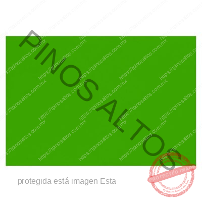 Papel Lustre Verde Limón