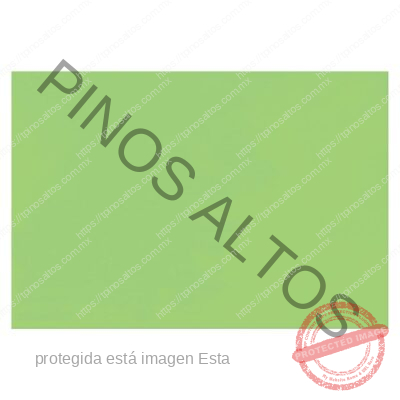 Papel Lustre Verde Pistache