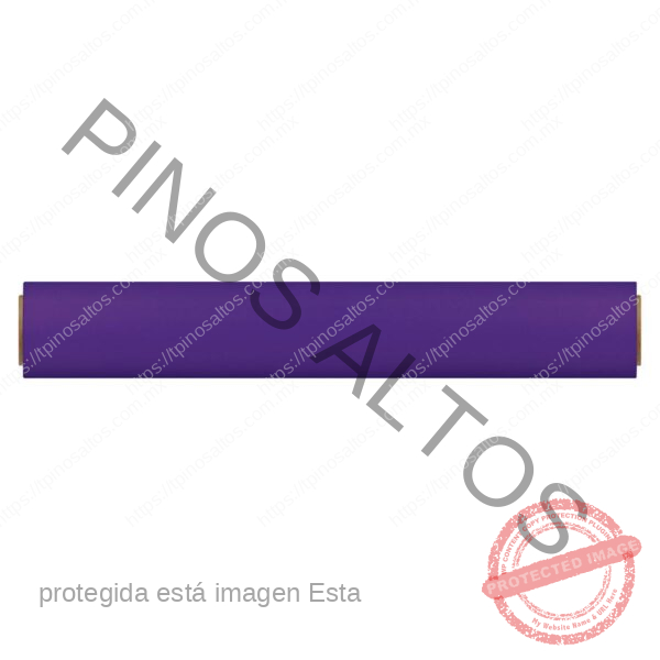 papel américa obispo 25m
